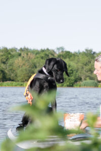 paddleboard